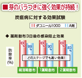 芽のバラツキに強く効果が持続！＜炭疽病に対する効果試験＞薬剤散布3日後の感染阻止効果。萌芽期散布、1葉期散布、2葉期散布、どのステージでもダコニール1000は防除率100%と高い効果。